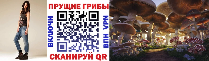 Галлюциногенные грибы прущие грибы  гидра зеркало  Темрюк 