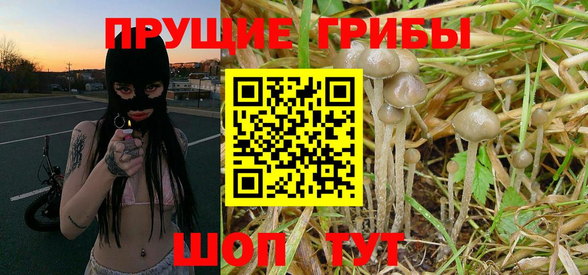 Псилоцибиновые грибы мухоморы Темрюк