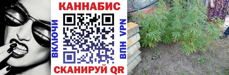 Конопля MAZAR  Темрюк 